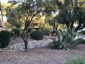 Property grounds - Old Town Scottsdale Pool Oasis - Walk to Everything! (Scottsdale)