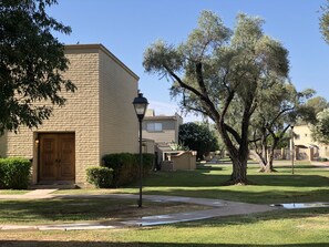 Exterior - Old Town Scottsdale Pool Oasis - Walk to Everything! (Scottsdale)