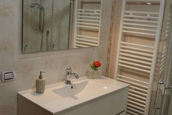 Shower, hair dryer, bidet, towels