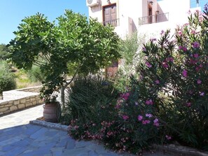 Traditional-Villa | Terrasse/Patio