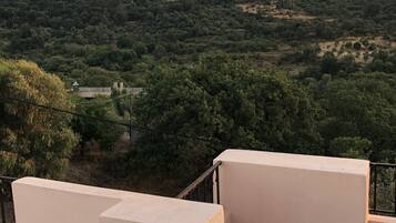 Traditional Villa | Teres/patio