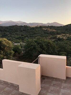 Traditional-Villa | Terrasse/Patio
