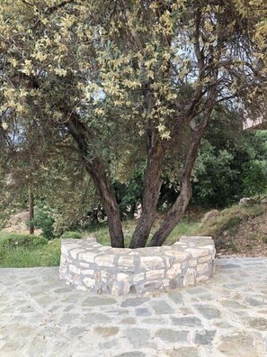 Traditionell villa | Terrass/Patio
