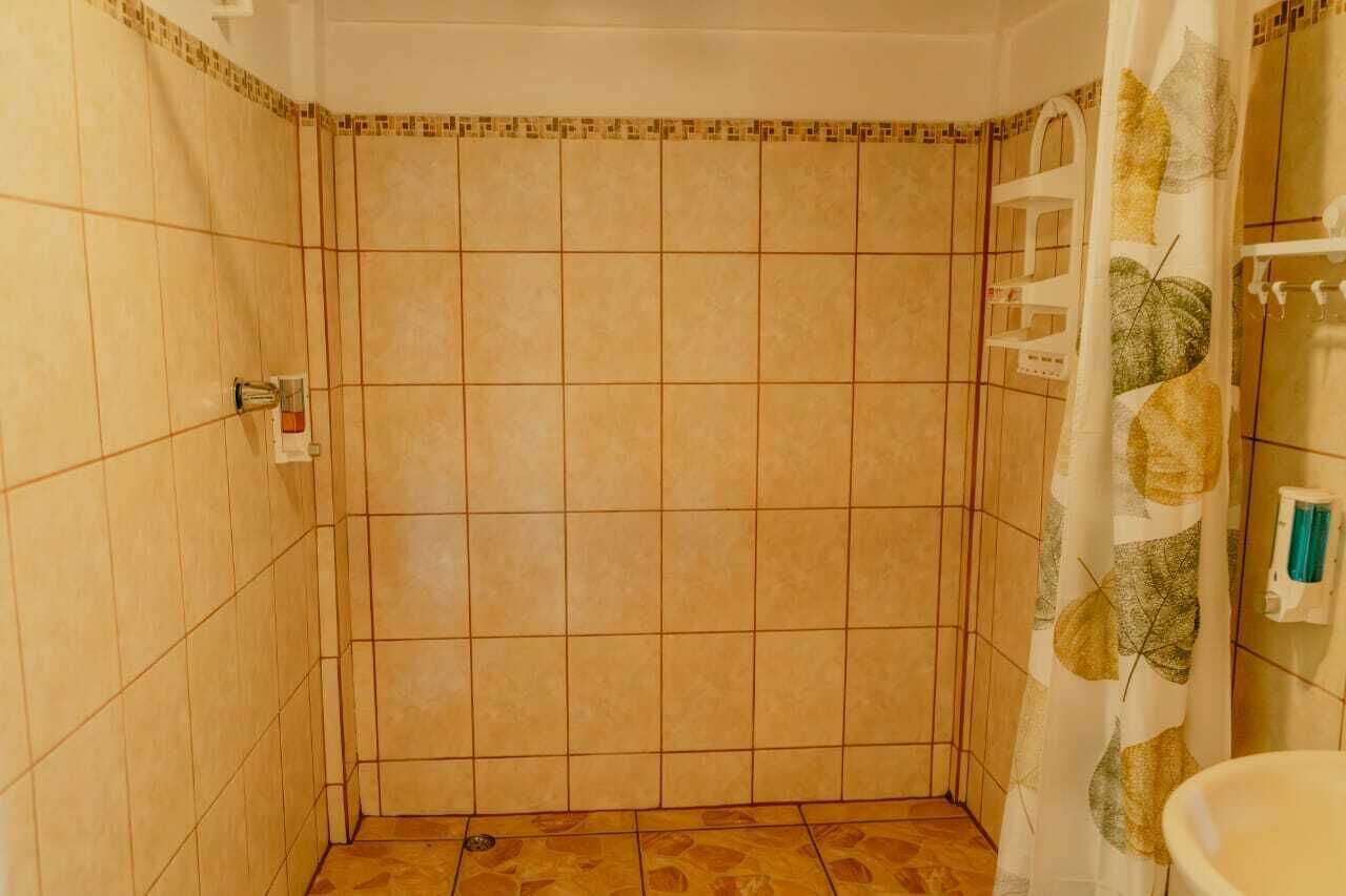 A bathroom with tiled walls, a shower curtain with leaf patterns, and a visible hand dryer.