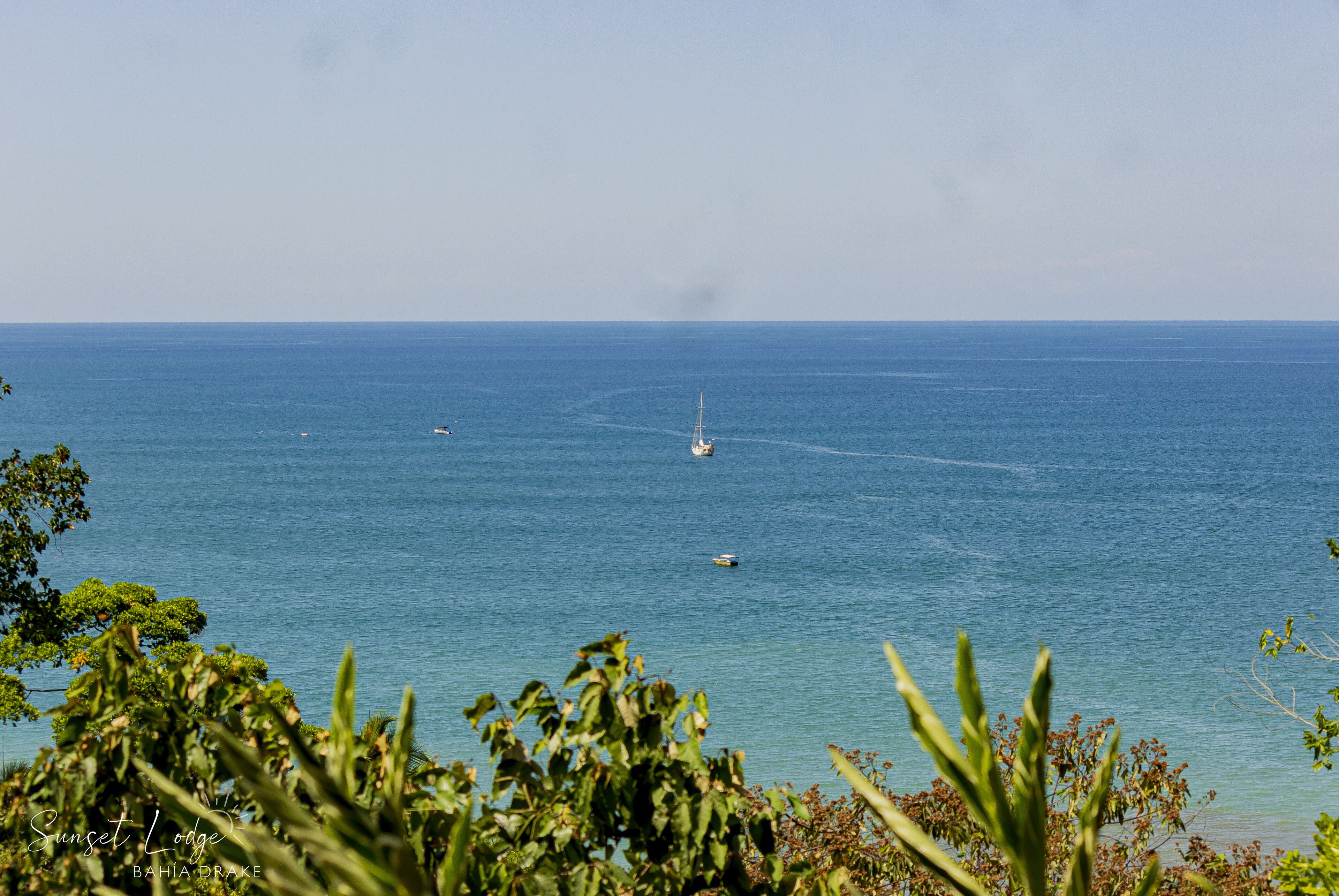 A view of the ocean with a sailboat and a small boat, surrounded by greenery.