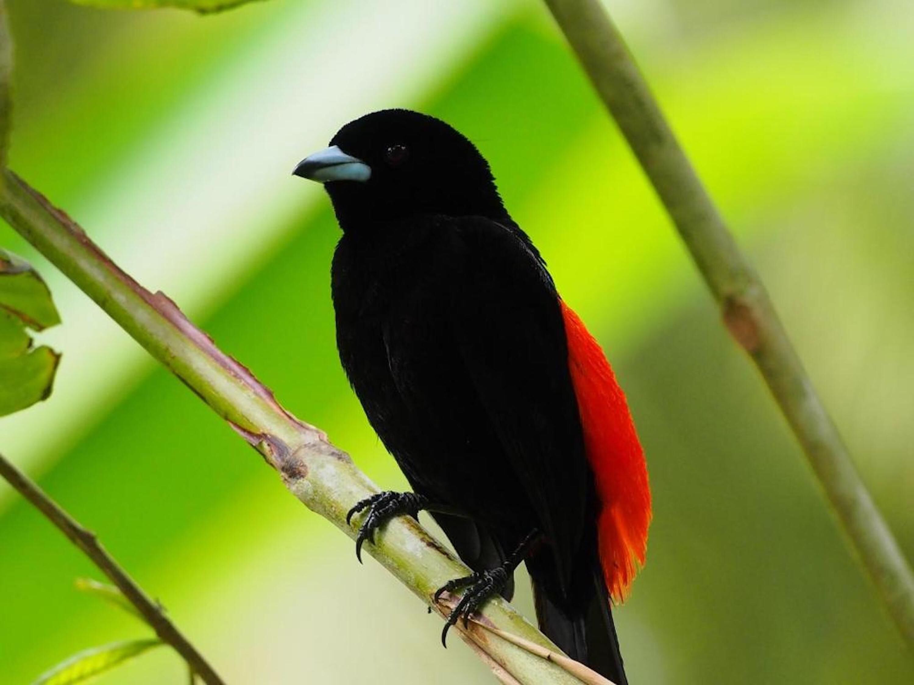 거실 공간