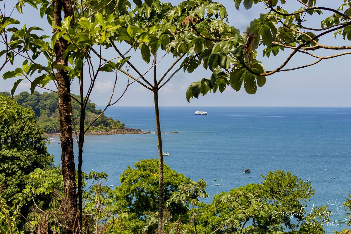 A coastal view with a boat on the water, surrounded by lush greenery and a clear sky.