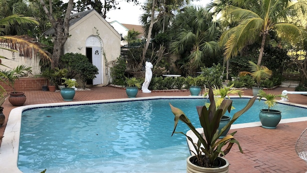 A swimming pool with a tiled edge, surrounded by potted plants and a brick patio. - Beach Hideaway (Nassau)