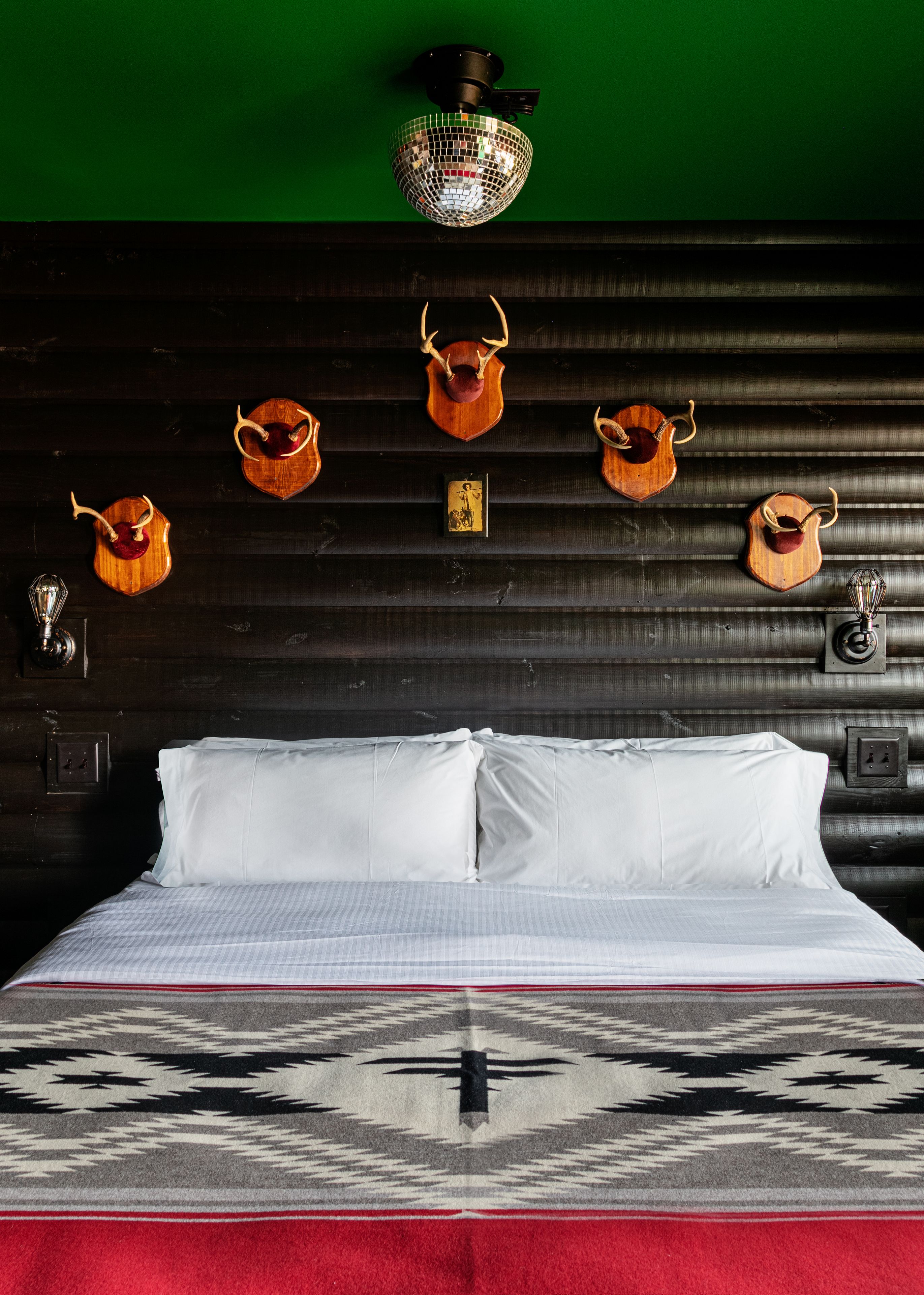 Foto - The Dive Motel and Swim Club