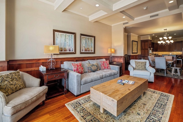 Sunny and bright living space with new sleeper sofa!