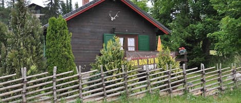 Ulkopuoli