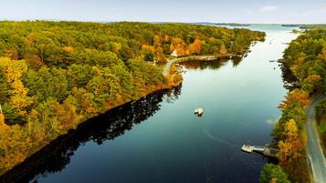 A river surrounded by dense forest with a boat docked on the right.