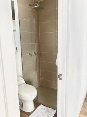 A small, enclosed shower area with a toilet and a showerhead.