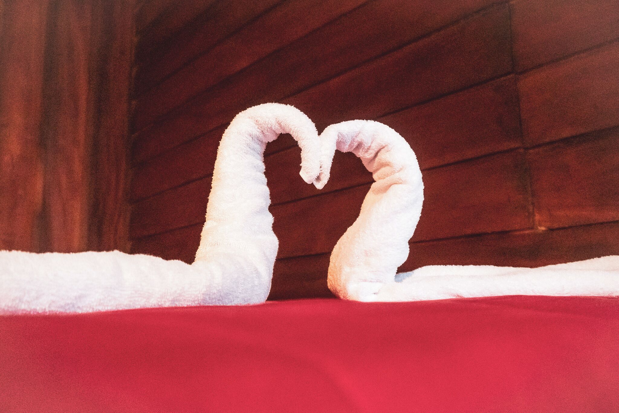 Foto - Cabinas Lupita