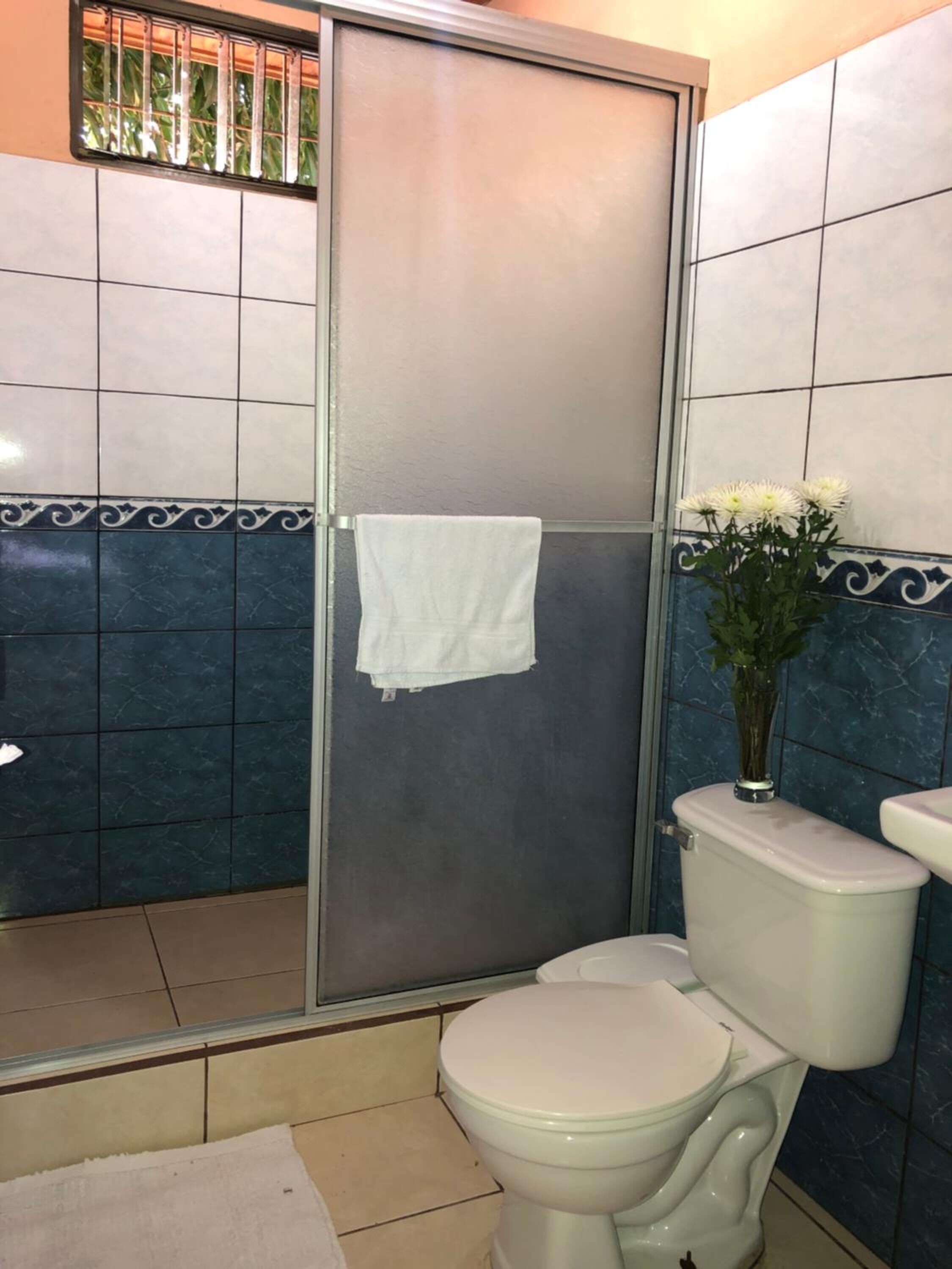 Foto - Cabinas Lupita