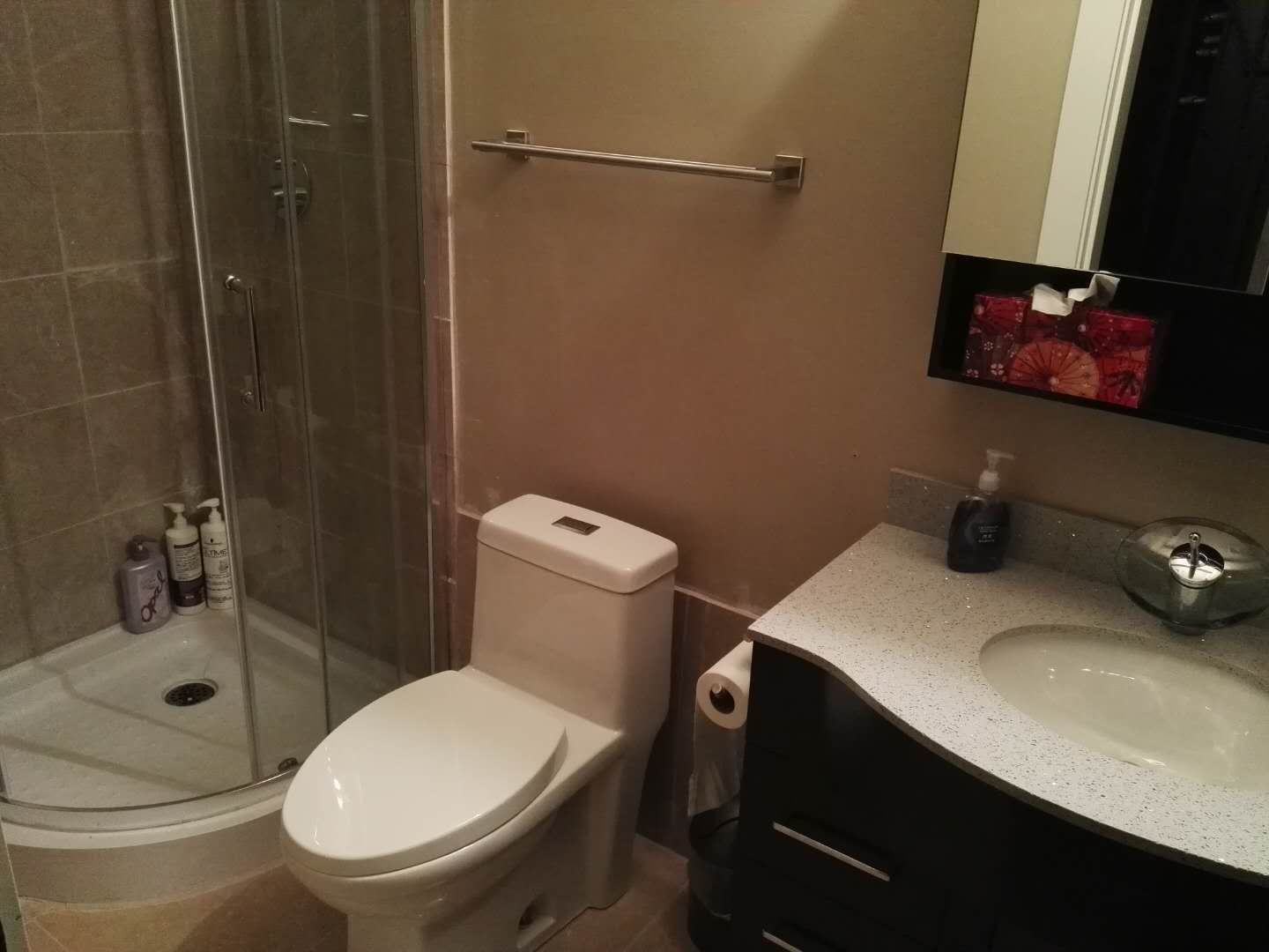 A bathroom with a glass-enclosed shower, a toilet, a sink, and a mirror.