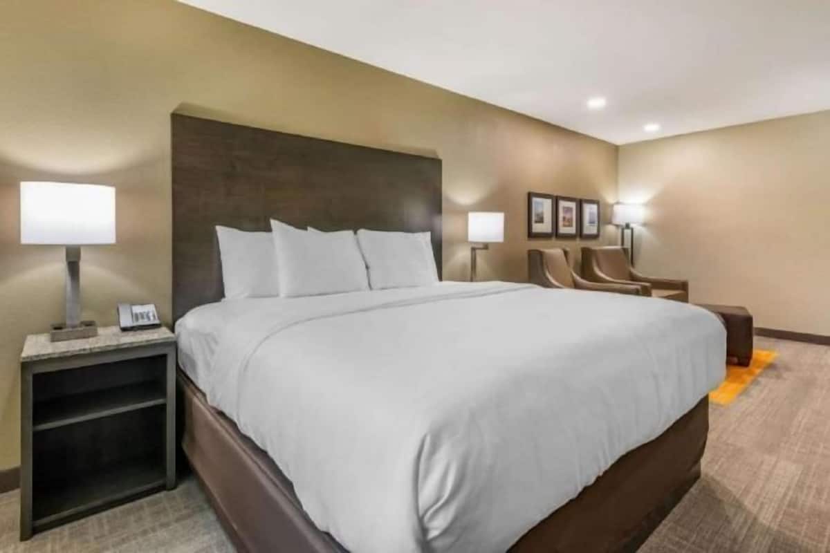 Cubrecamas, escritorio y espacio para trabajar con laptop