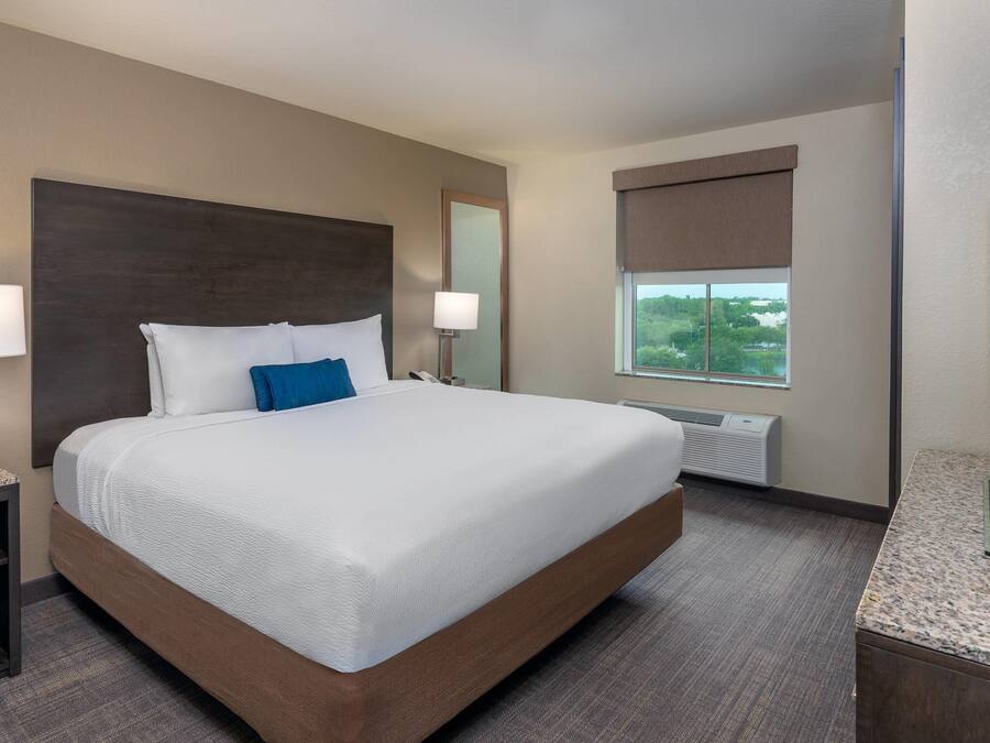 A hotel room with a large bed, a nightstand with a lamp, a window with a view, and a flat-screen TV.
