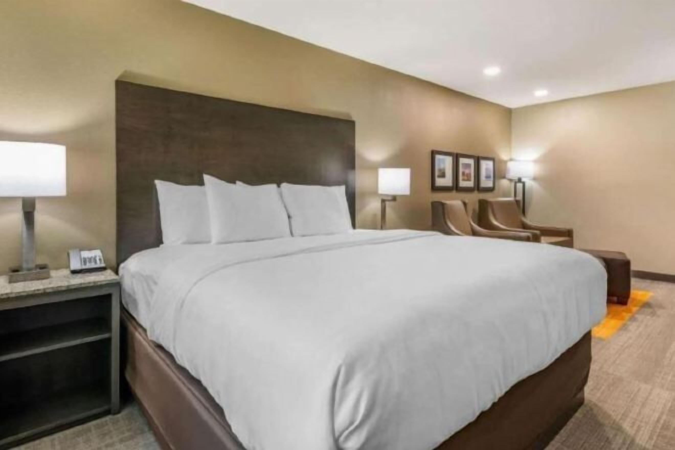 Down comforters, desk, laptop workspace, blackout drapes