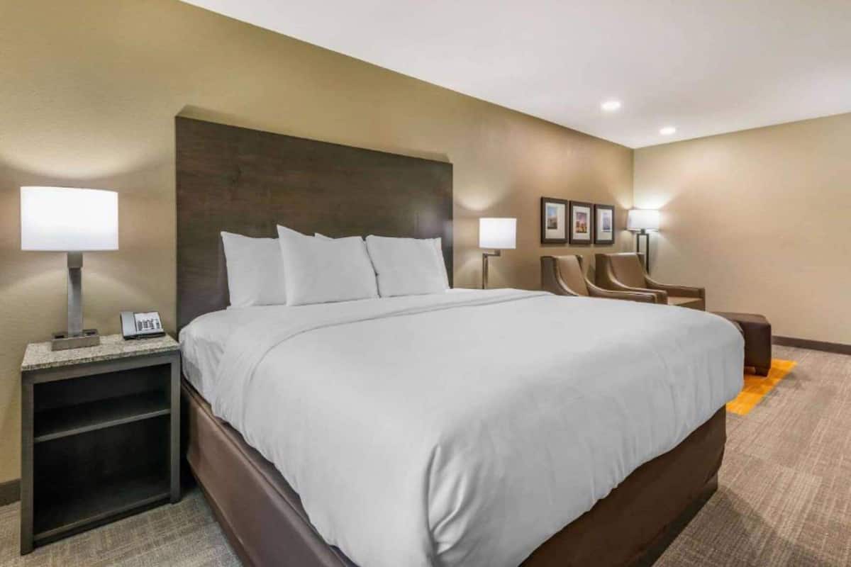 A hotel room with a large bed, bedside tables with lamps, a headboard, and a seating area with chairs.