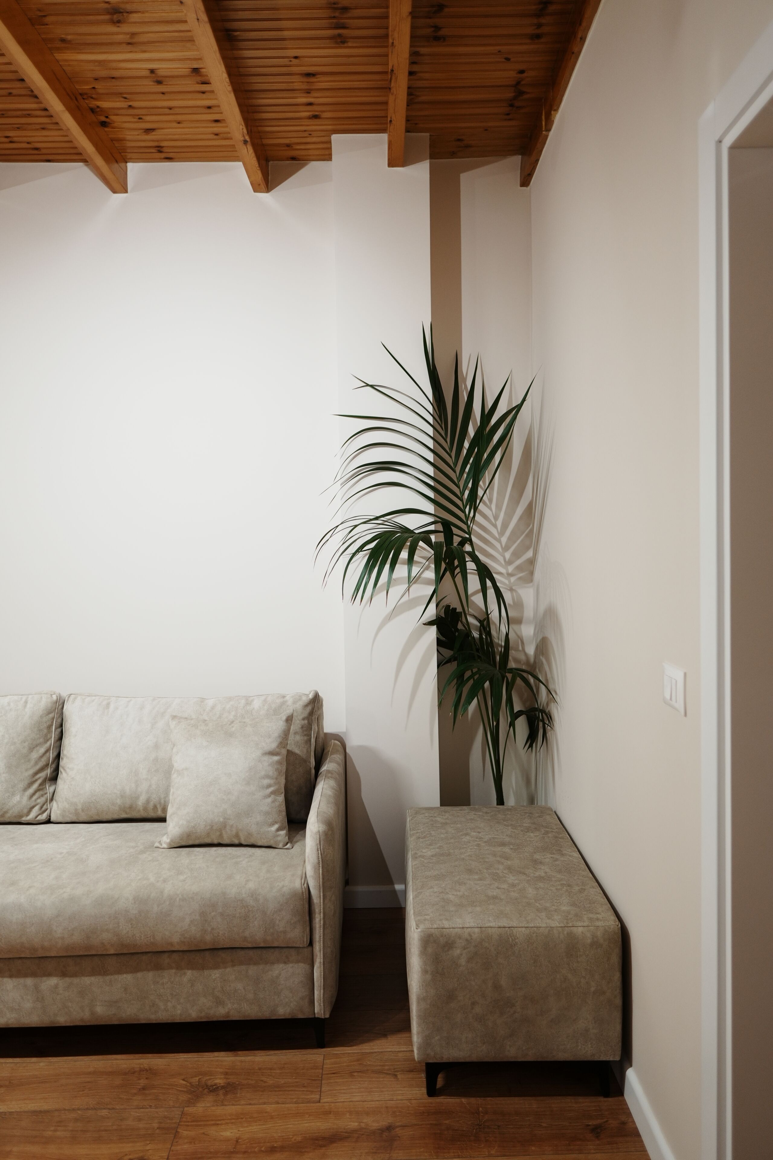 A room with a wooden ceiling, a beige sofa, a matching ottoman, and a tall plant.