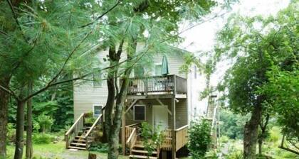 Mountain_roots_lodging