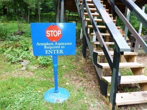 Mountain_roots_lodging