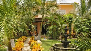 A garden with a fountain, palm trees, and a pathway lined with plants. - Bamboo Manor (Playa del Carmen)