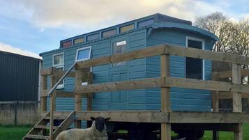 A blue wooden house with a wooden deck and a ramp leading to the door.