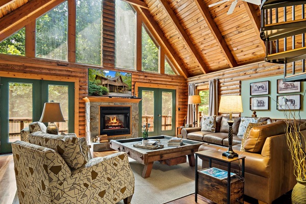 Smart TV, fireplace, video games, Netflix