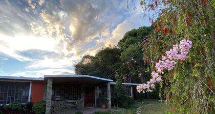 La Arboleda del Carrizo