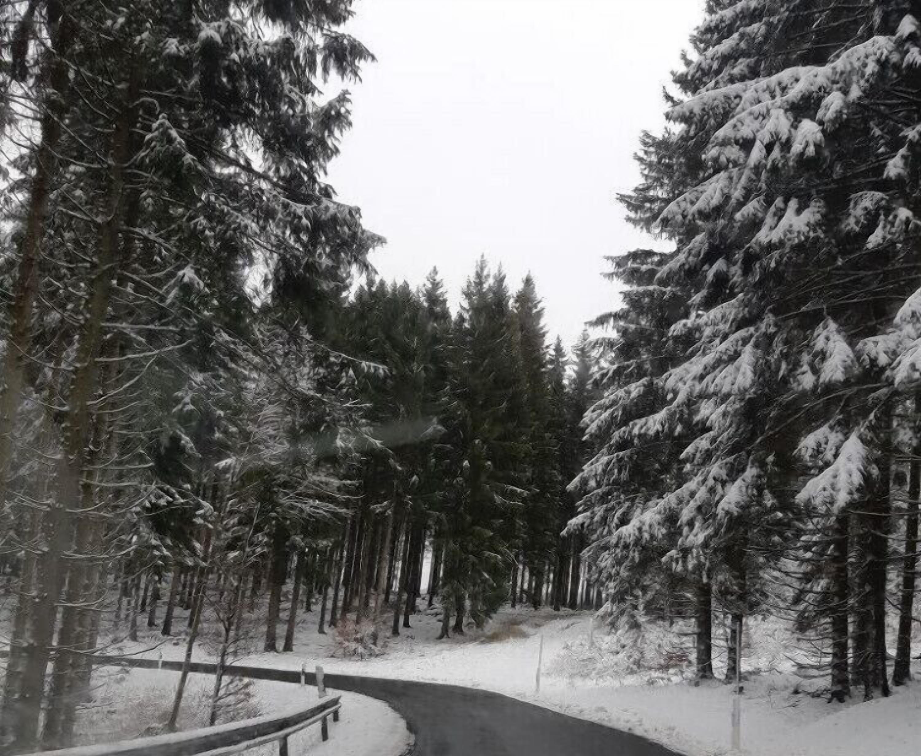 Un chemin forestier enneigé, avec un banc et une clôture.