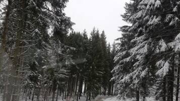 Un chemin forestier enneigé, avec un banc et une clôture.