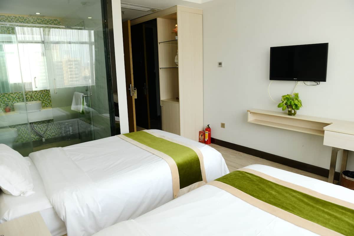 Habitación de hotel con dos camas, ducha, televisión y una planta pequeña.