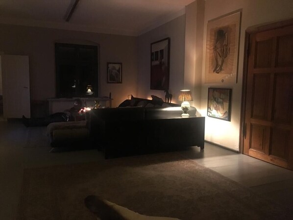 TV, fireplace, DVD player, books