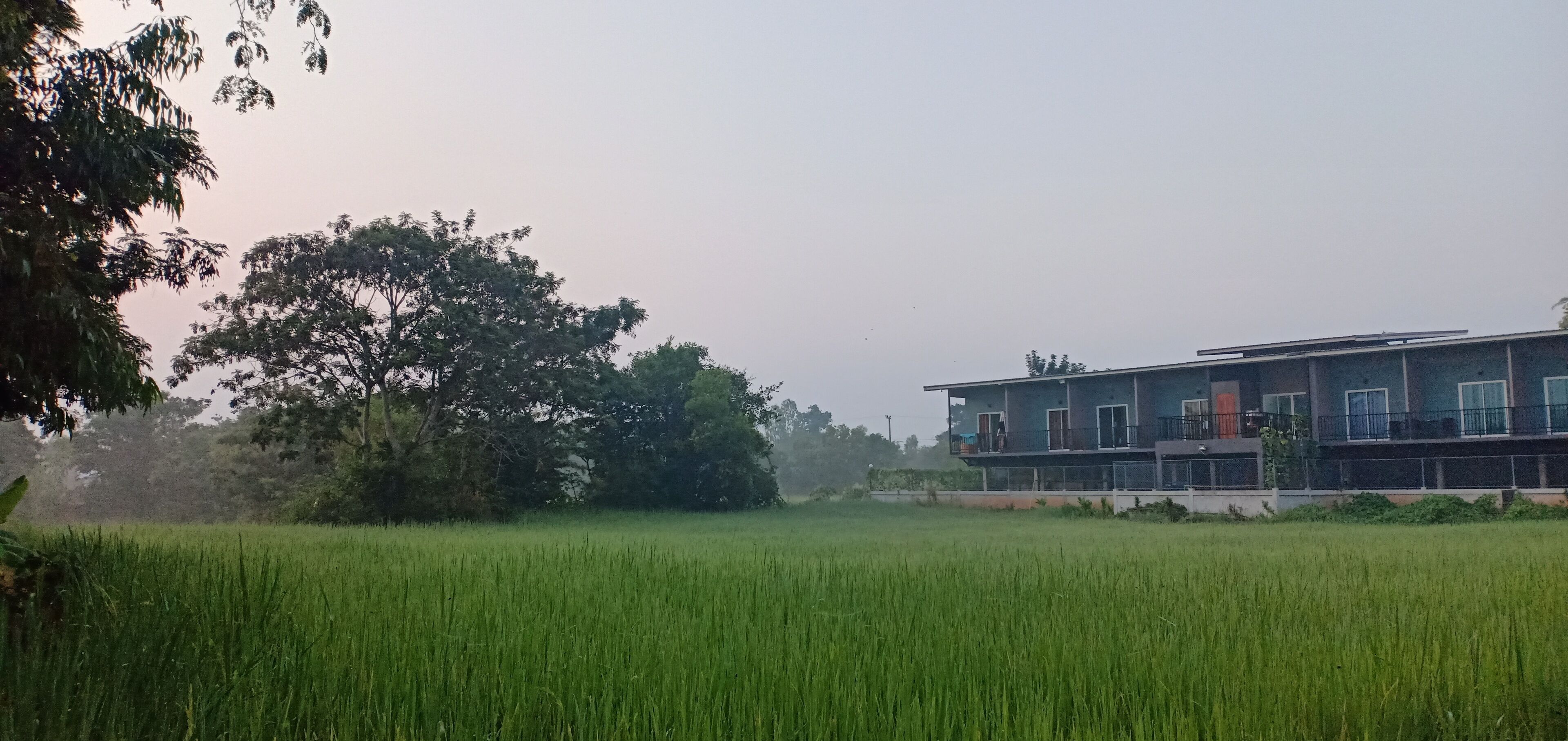 A modern building with multiple floors and balconies, surrounded by lush green fields and trees.