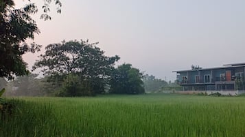 A modern building with multiple floors and balconies, surrounded by lush green fields and trees.