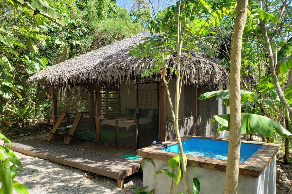 Jungle Bungalow | Garden view