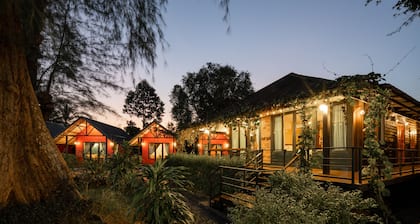 ST Resort