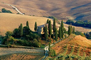 Paisaje rural con una construcción de piedra rodeada de árboles y campos.
