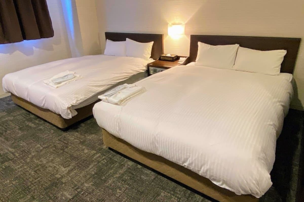 deluxe twin room, non smoking | 1 bedroom, iron/ironing board, free wifi