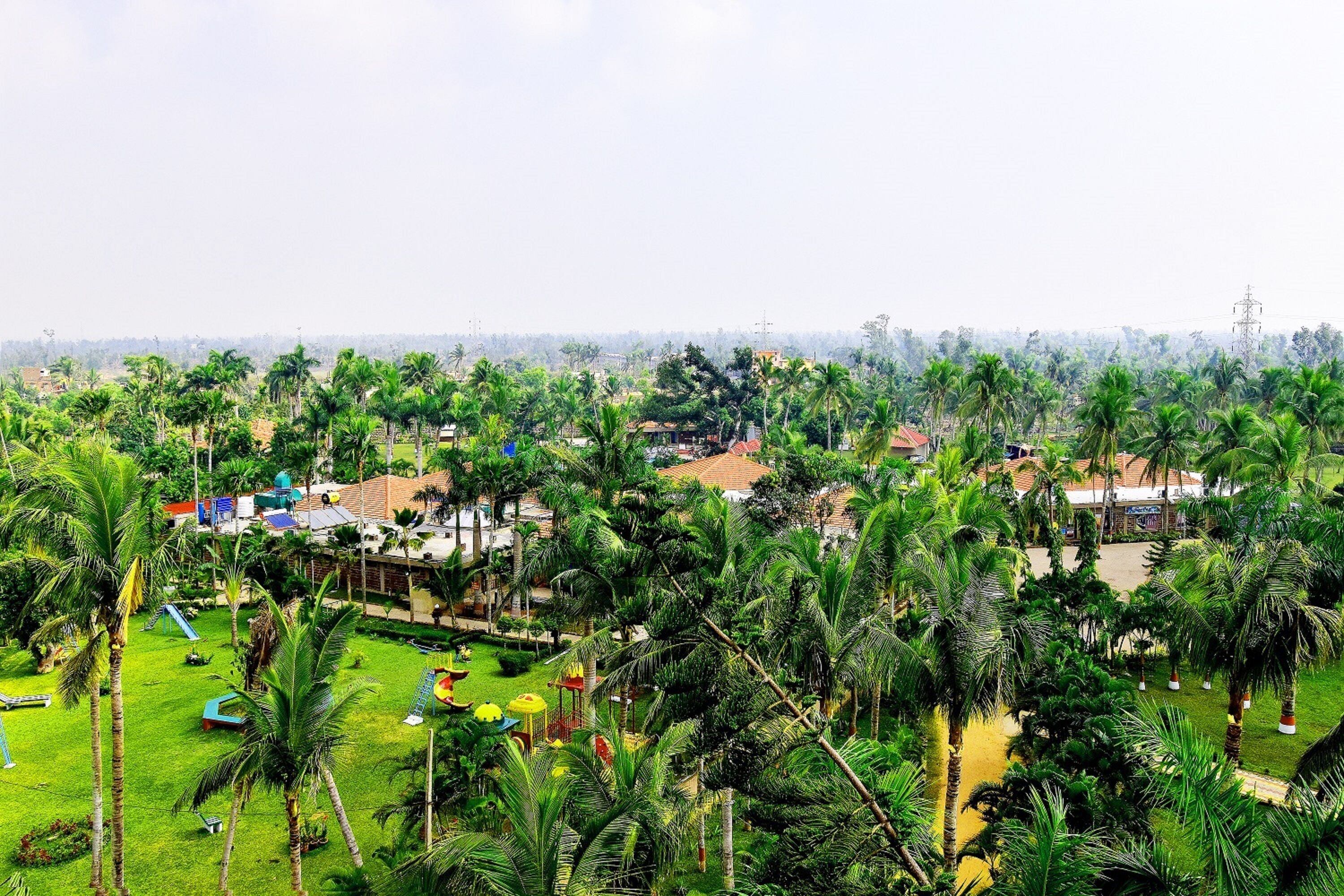 Un paisaje verde exuberante con palmeras y un parque infantil.