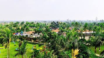 Un paisaje verde exuberante con palmeras y un parque infantil.