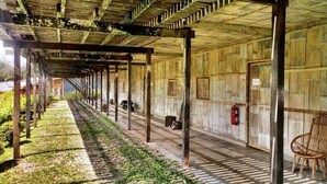 A covered outdoor area with wooden beams and a tiled floor, leading to a building with wooden walls and a door. - Borneo Tribal Village (Kuching)