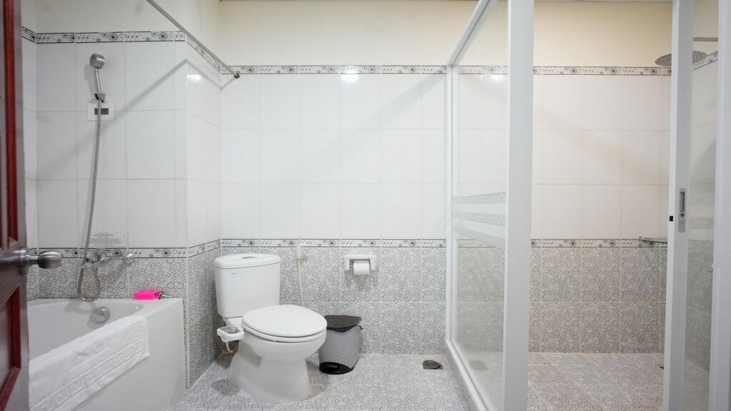 vip room | bathroom | shower, free toiletries, hair dryer, slippers