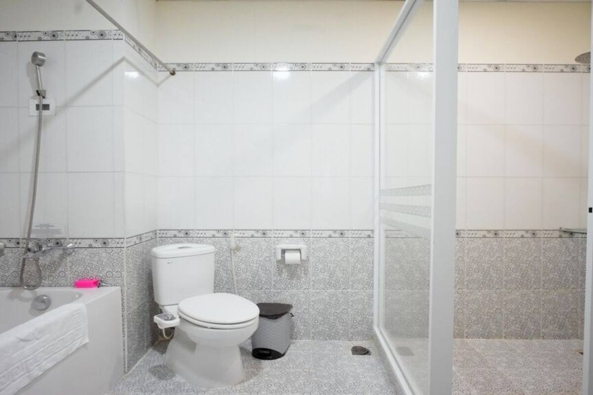 vip room | bathroom | shower, free toiletries, hair dryer, slippers