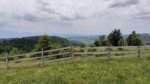 Property grounds - Holiday in the forest with beautiful view of the city of Sarajevo (Sarajevo)