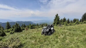 Golf - Holiday in the forest with beautiful view of the city of Sarajevo (Sarajevo)