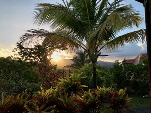 Property grounds - Bamboo Canyon Villa - Large F2 with Air Conditioning (Petit-Bourg)