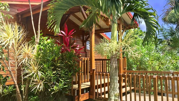 A wooden building with a red roof, surrounded by tropical plants and a wooden fence.